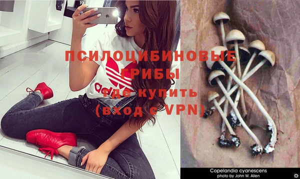 скорость Михайловка