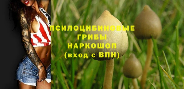 Альфа ПВП Михайлов