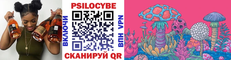 Купить закладки  Звенигород  Галлюциногенные грибы Psilocybe 